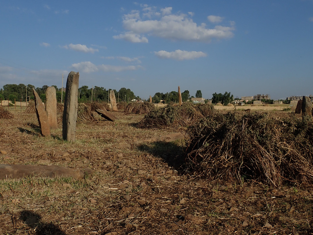 Standing stones adjacent to the Queen of Sheba's Palace, Axum