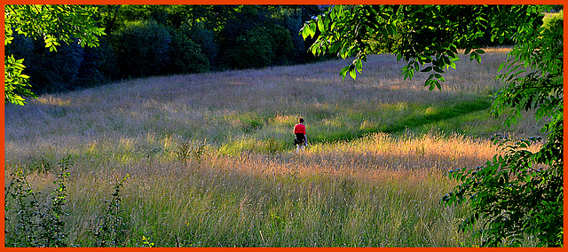 Red Three----Lady in red-