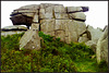 Bear Rock