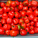 Rocoto harvest