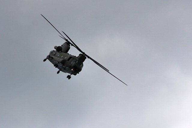 Chinook