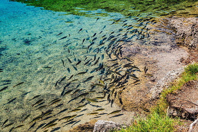 At Lake Hinterstein (Tyrol)