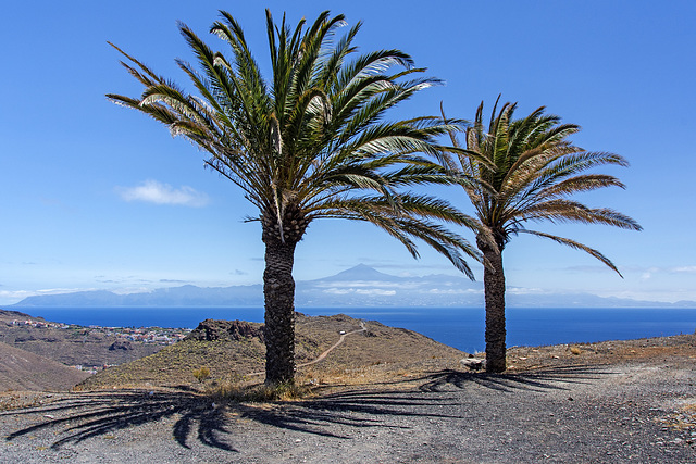 Vulkan Teide