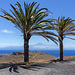 Vulkan Teide