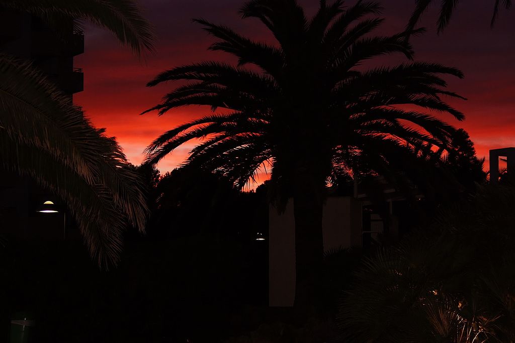 Mallorca, Dezembertage...