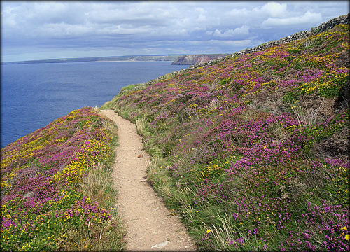 Newdown's Head, Cornwall