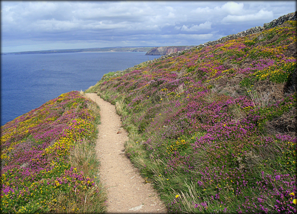 Newdown's Head, Cornwall