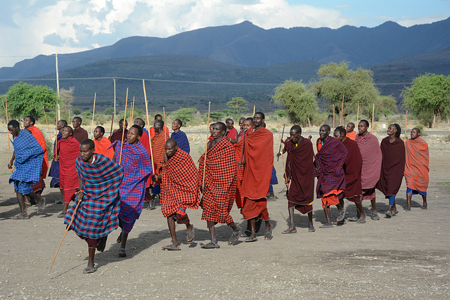 The Dance of the Maasai Warriors