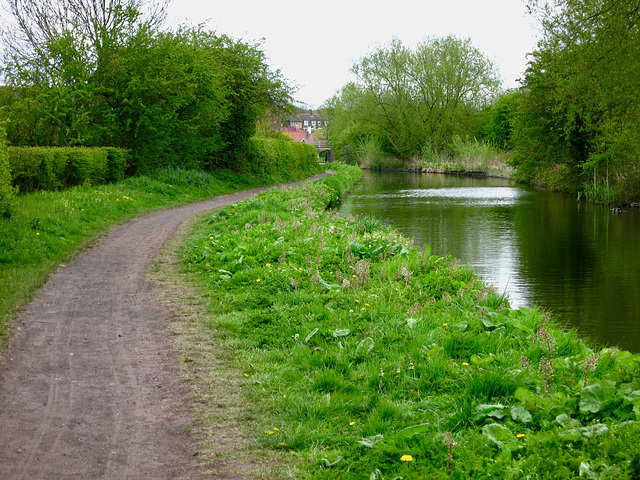 Looking back towards Giggetty Bridge on the Staffs and Worcs Canal