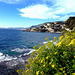 Cap d'Ail - Costa Azzurra (Francia)