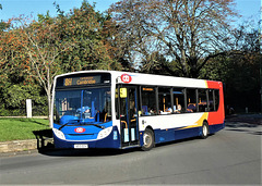 Service 8H: Stagecoach in Cambridge (Cambus) 27852 (AE13 DZY) - 1 Sep 2020 (P1070521)