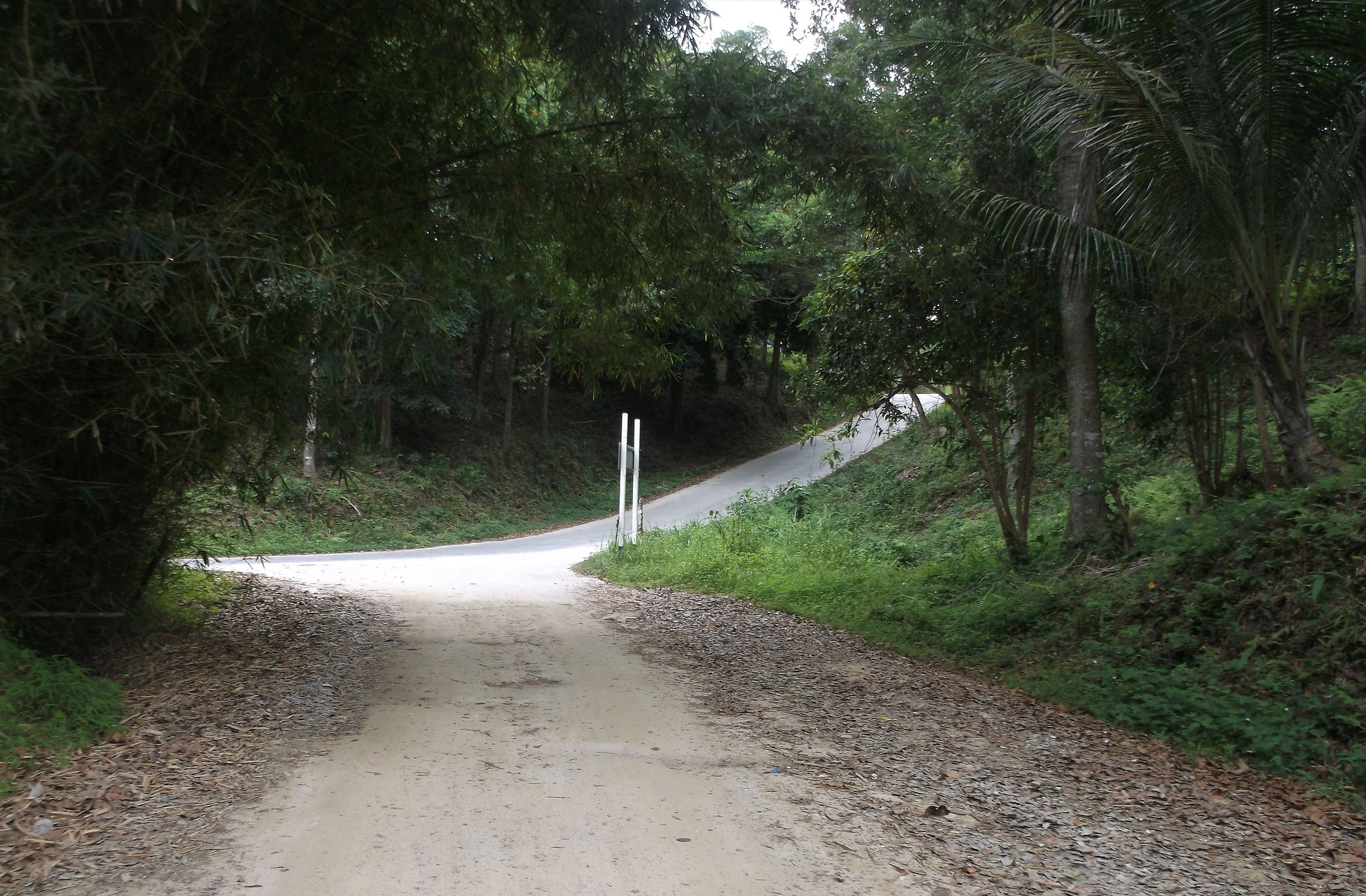 Rouler dans la nature / Small road trip in Thailand