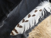 Is this a Snowy Owl feather?