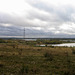 Chasewater and Country Park from high ground (170m) on disused tip.