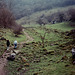 Deep Dale (Scan from 1991)