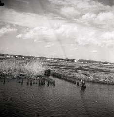 Wetland