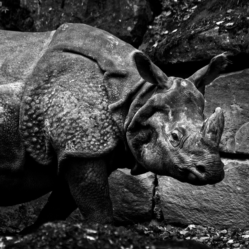 20231029_nürnberg tiergarten
