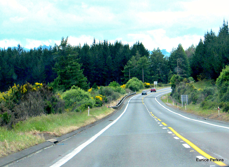 South Of Tokoroa...