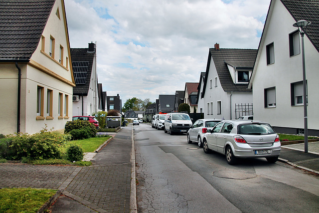 Auf dem Knust (Bochum-Harpen) / 27.04.2024