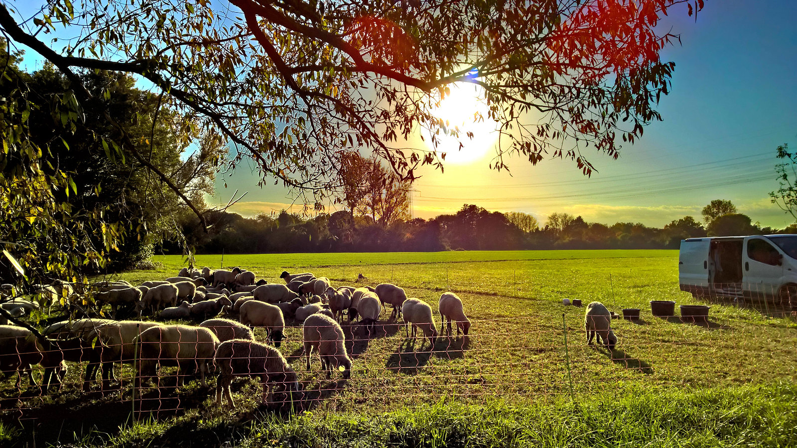 Mühlheim am Main, Mainwiesen, HDR, 2016