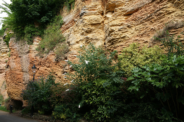 Cliffs At Knaresborough