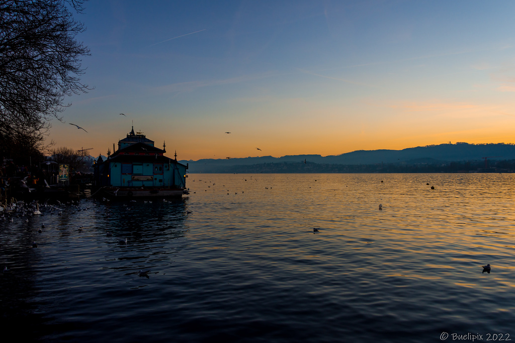 Goldene Stunde am Zürichsee (© Buelipix)