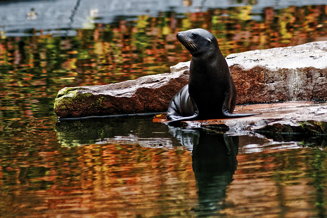 20231029_nürnberg tiergarten