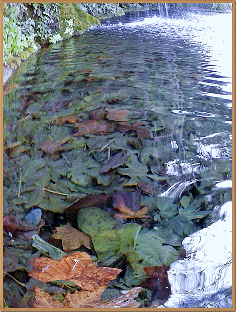 TAPIS DE FEUILLES