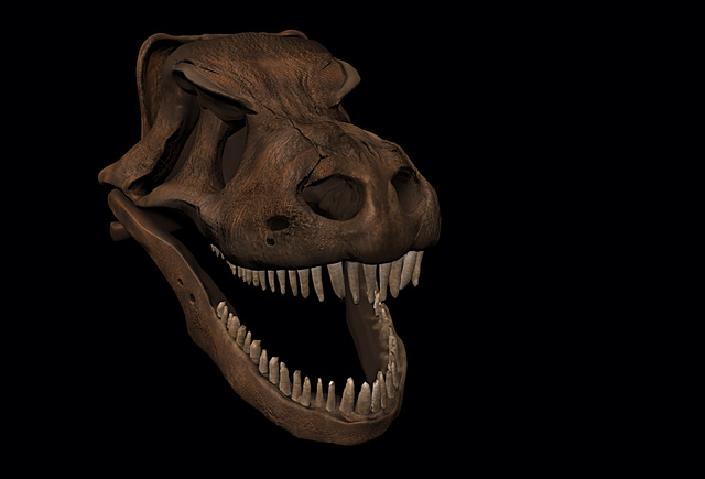 Tyrannosaurus Rex   ( Image de synthèse )
