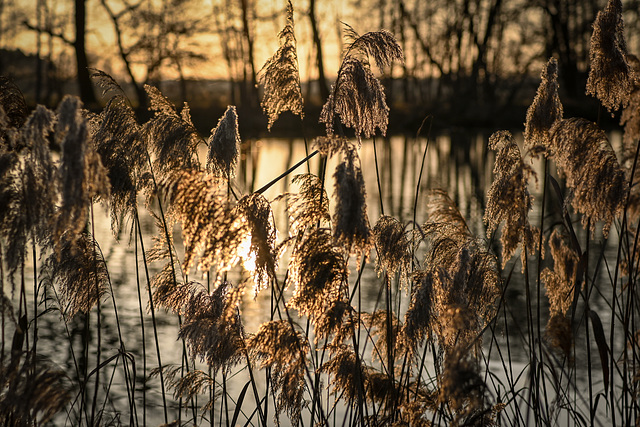 sonnige Aussichten