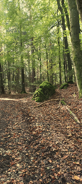 Fränkischer Gebirgsweg Betzenstein - Hormersdorf