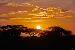 Sunset at Amboseli National Park Sunset at Amboseli National Park