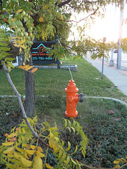 Borne-fontaine porte à porte / Door to door hydrant
