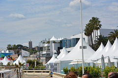 Cannes, film festival