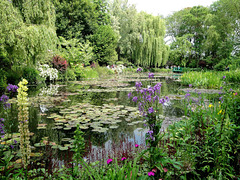 dans le jardin de Claude Monet