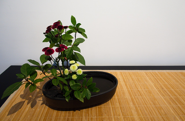 Ikebana / Kado