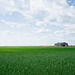 big sky and barn 2