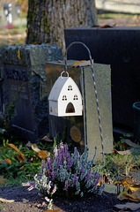 Maison blanche pour petits oiseaux