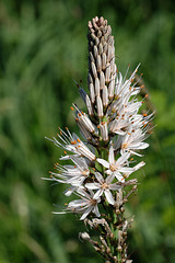 DSCF7399