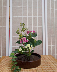 Ikebana / Kado