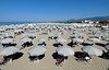 Marina di Pietrasanta- Private Beaches