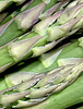 Spargel im Regal…