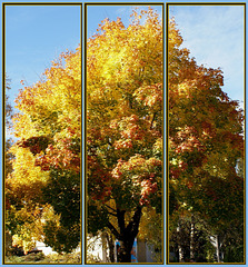Wallpaper 'Autumn'. ©UdoSm