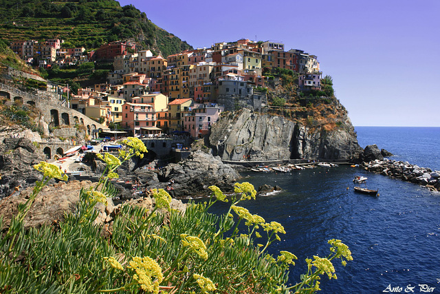 Omaggio floreale a Manarola