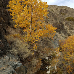 20181025 161847 001 20181025 161847 001