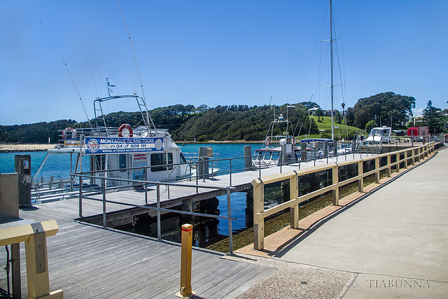 Narooma waterside