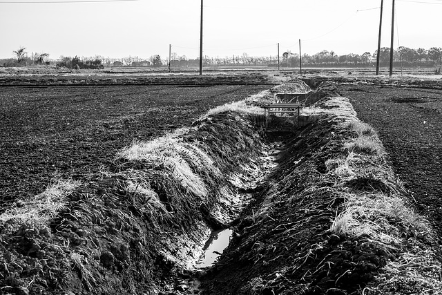 New irrigation ditch