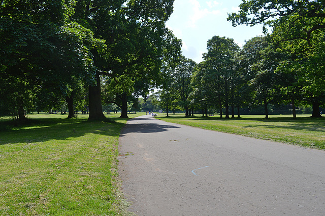 Wythenshawe Park 1