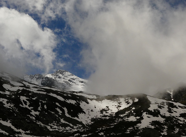 20160611 -18 Rando Meribel Les allues Jour5 (69) al rec