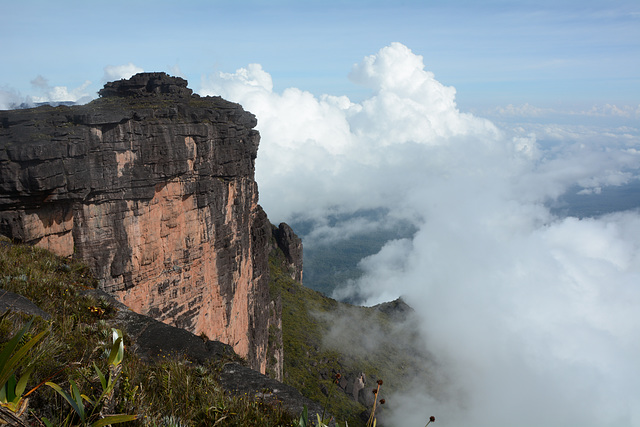 Venezuela, The Top of Roraima (2810m) Venezuela, The Top of Roraima (2810m)